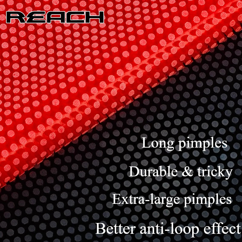 Reach C-8 C-801 Table-tennis R - Board Game Table บทวิจารณ์และราคา