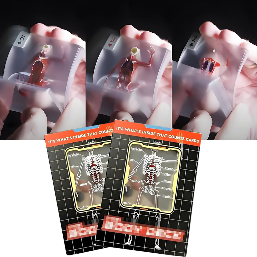 The Body Deck Mannequin Body D - Board Game Design บทวิจารณ์และราคา